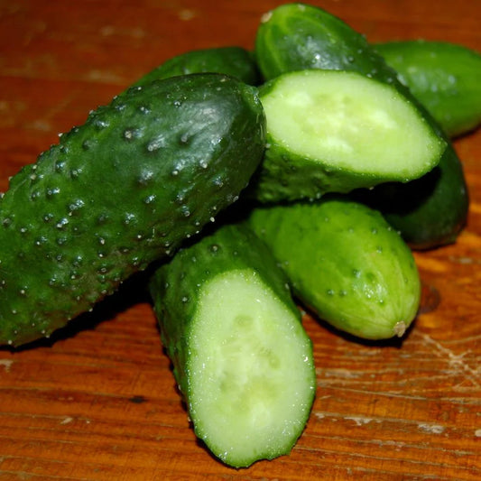 Pickling Cucumber Seeds - Bushy