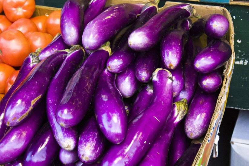 Eggplant Seeds - Long Purple
